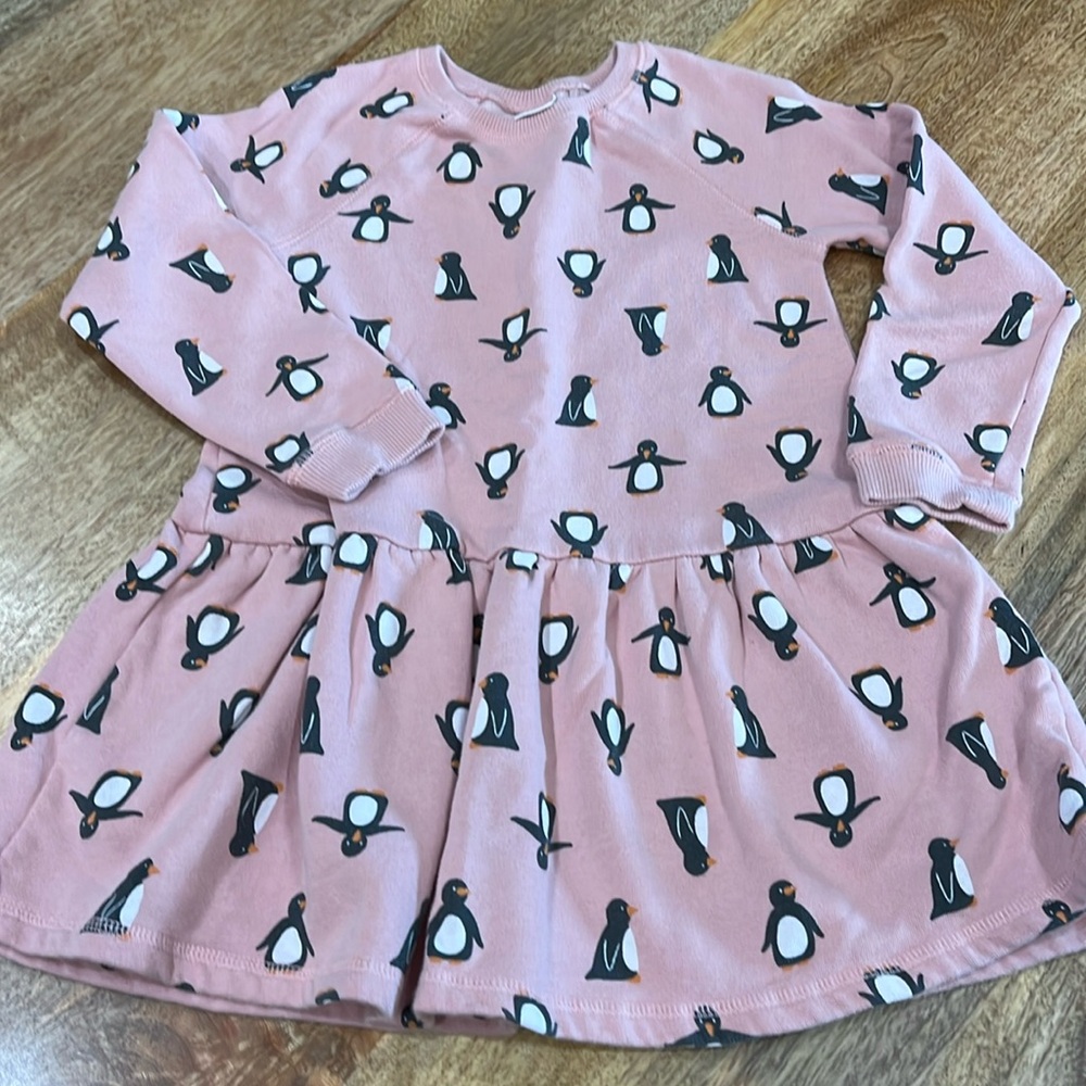Fleece dress from NEXT Direct